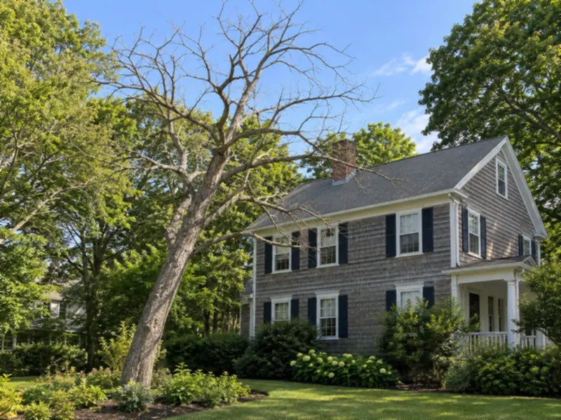 Dead leafless tree leaning toward a two-story wooden house in summer