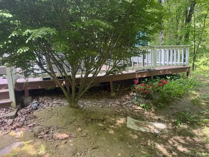 Backyard wooden deck with railings under trees before demolition