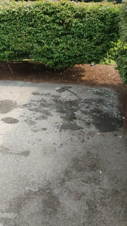 Same driveway corner empty and swept after the junk was hauled away