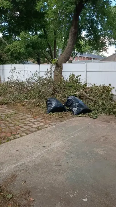 Small backyard with cut tree branches and black trash bags on the ground before cleanup